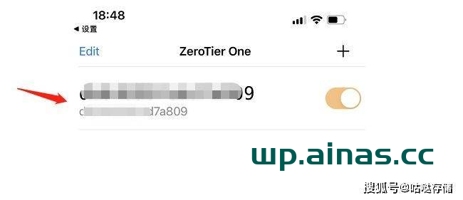 图片[26]-群晖安装ZeroTier内网穿透工具-AiNas.cc